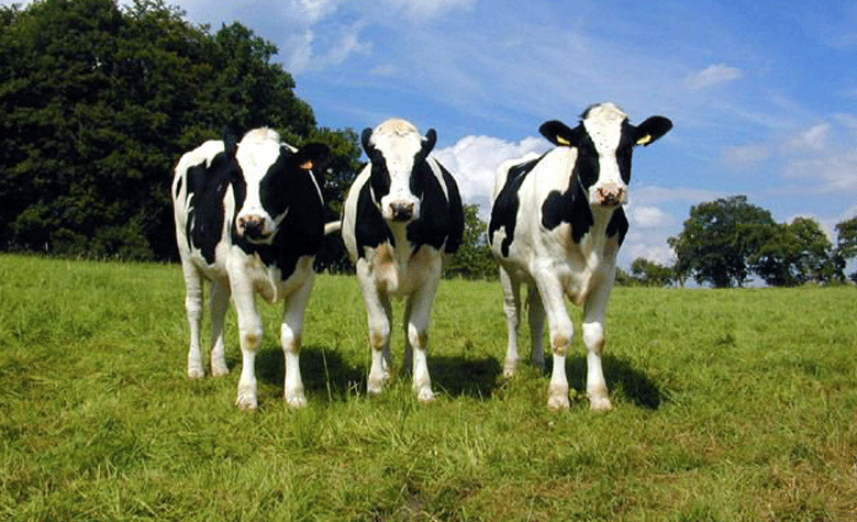 Screen Shot 2015-07-10 at 9.30.54 AM